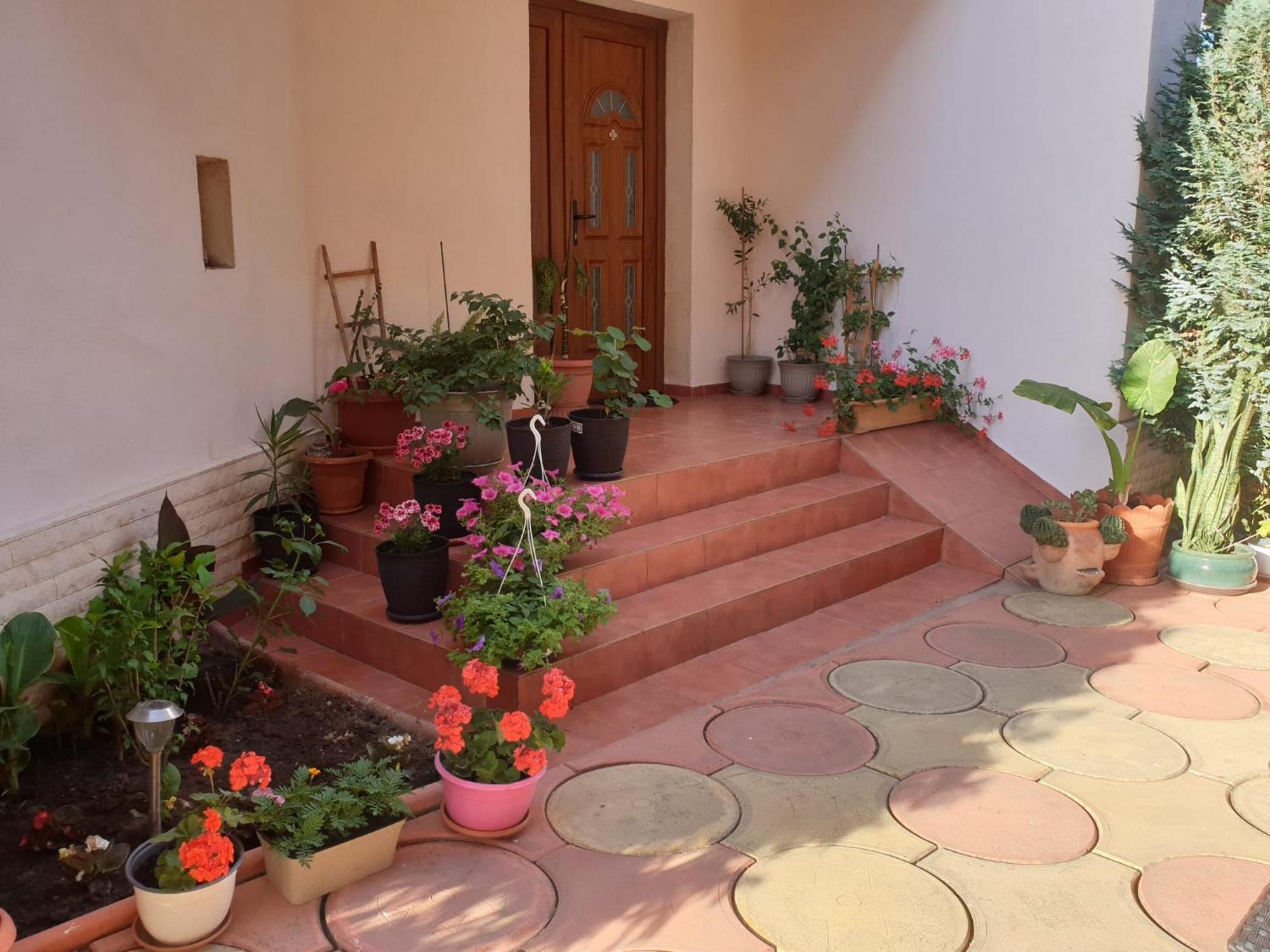 Hotel Casa Mary à Costinesti Extérieur photo