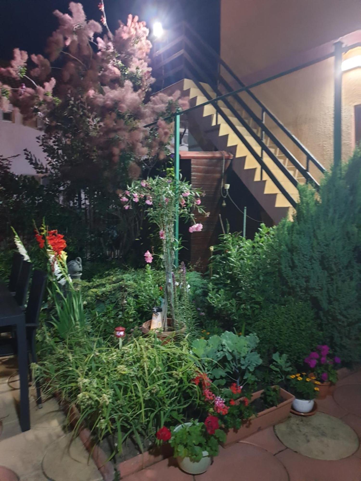 Hotel Casa Mary à Costinesti Extérieur photo